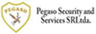 Pegaso Security and Services